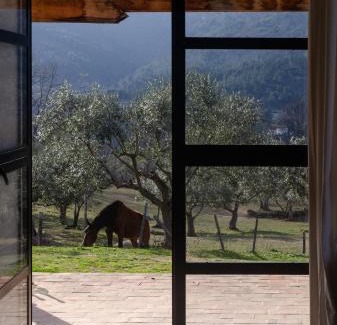Faia Apartment | Special Farmstay, Faia-Guarda