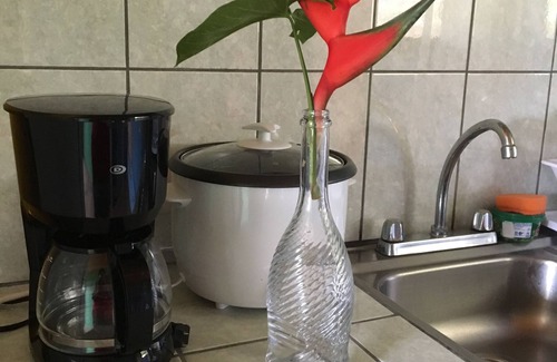 Bijagua Apartment | SPECIAL OFFER! Rio Celeste Dreams apartment!$ 40! For the all apartment!