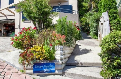 Ohope Apartment | Spectacular Beach Views of Ohope Beach