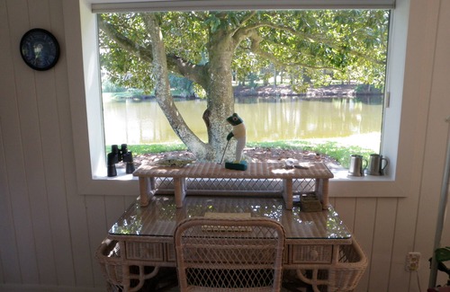 Sea Pines Villa | Spectacular Lagoon and Golf Front Villa, a walk to the beach. Sea Pines