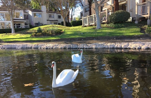 Westlake Village House | Spectacular Lakefront, furnished, 2 Bedroom in Westlake Village, near Malibu