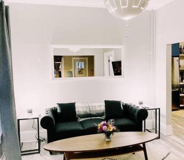 Fredericton Apartment | Spin & Sip - Dog-Friendly Vinyl Vibes Downtown
