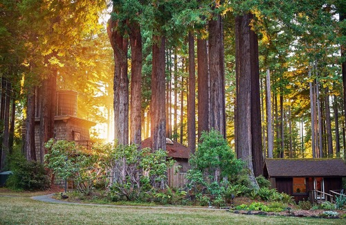 Albion House | Spirit Camp Redwood Retreat for 25-50+ Guests! 10 min. from Town of Mendocino