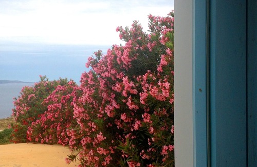 Tinos Town House | Spiti Lia at Tinos Island