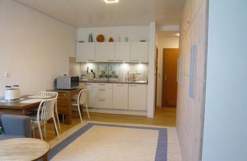 Rappele Apartment | Sport-Alpin-Wohnung-9