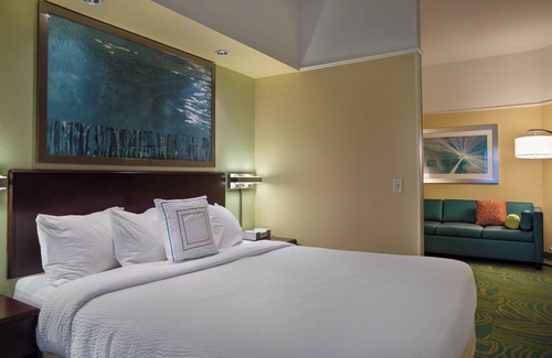Feather Sound Hotel | SpringHill Suites by Marriott St. Petersburg Clearwater