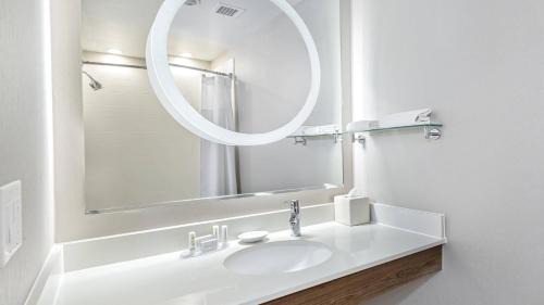 North San Antonio - SAT Hotel | SpringHill Suites by Marriott San Antonio Airport