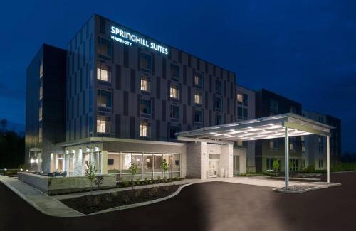 Westfield Hotel | SpringHill Suites by Marriott Indianapolis Westfield