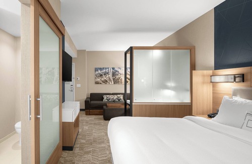 Jackson Hotel | SpringHill Suites by Marriott Jackson