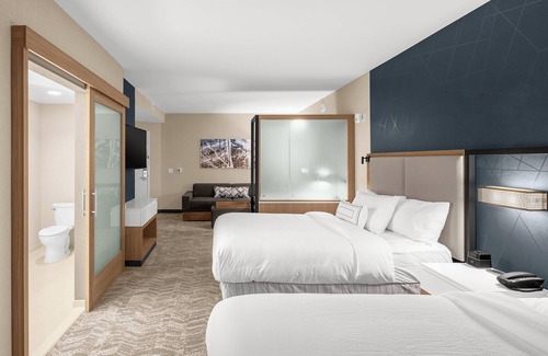 Jackson Hotel | SpringHill Suites by Marriott Jackson