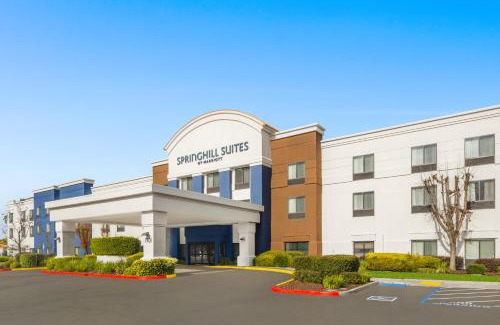 Modesto Hotel | SpringHill Suites by Marriott Modesto