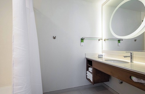 New Tampa Hotel | SpringHill Suites by Marriott Tampa North/I 75 Tampa Palms