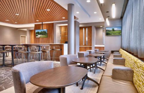 Colorado Springs Hotel | Springhill Suites by Marriott Colorado Springs North/Air Force Academy