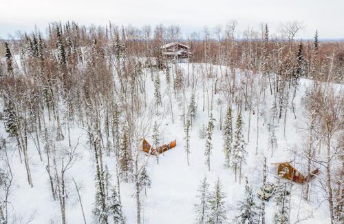 Talkeetna House | Spruce Cabin