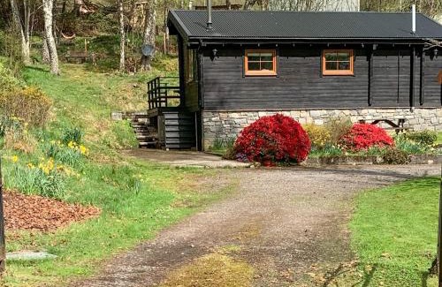 Newtonmore House | Squirrel View