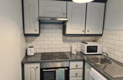 Galway City Centre Apartment | St Patricks Avenue Apartment, H91A4W7
