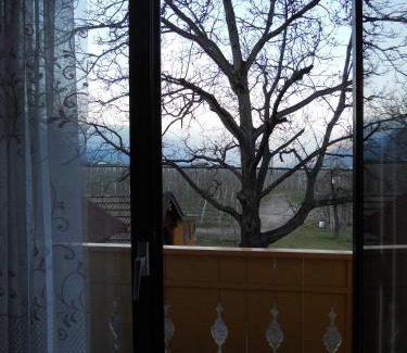 Nalles Apartment | St. Vigilhof