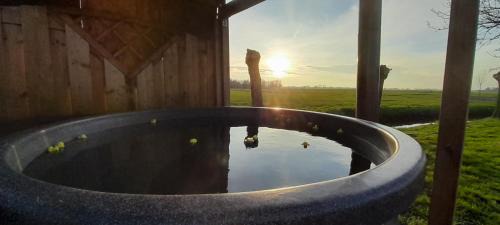 Sneek Other | Stacaravan op de paardenboerderij Sneek