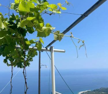 Zagora-Mouresi House | Stamos Paradise View