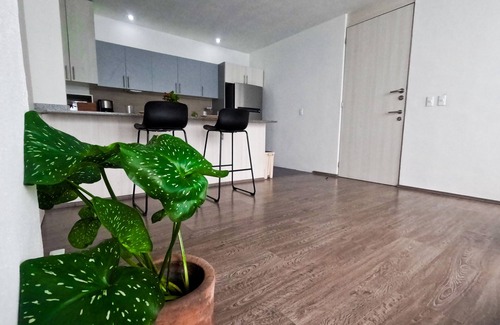 Coyoacan Apartment | Starlight Studio in Mexico City
