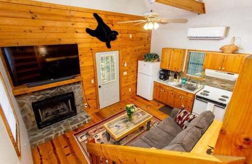 Ellijay Cabin | Starlink Internet/Peaceful/Freewood/Hiking/Slps 4