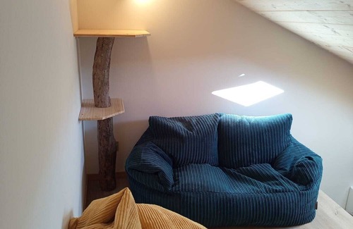 Champagnole Apartment | Starry Chablis