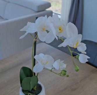 Lake Tekapo Apartment | Starry Heaven 3bdr3ba