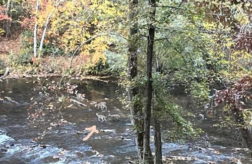 Dahlonega House | Stay at Rivermist Dahlonega