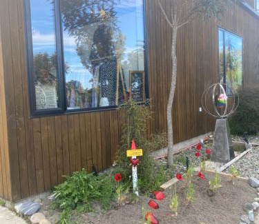 Mapua Bed & Breakfast | Stay at the art gallery