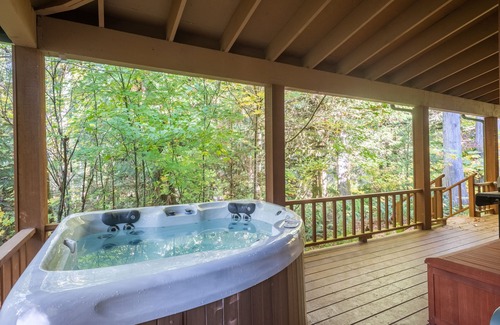 Rhododendron Cabin | Stay before 9/14 get the 3RD night FREE! Hot tub, river access A/C