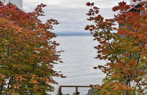 Langley Condo | Stay Inn LANGLEY on WHIDBEY ISLANDnBEAT THE WINTER BLUESnENJOY 2ND NIGHT ON US!