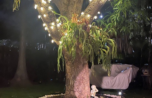 Palm Beach - West Palm Beach Cottage | STAYCATION CELEBRATION 10% off 1 WK ‼️