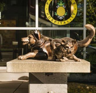 University District Hotel | Staypineapple, Watertown Hotel, University District Seattle