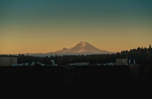 University District Hotel | Staypineapple, Watertown Hotel, University District Seattle