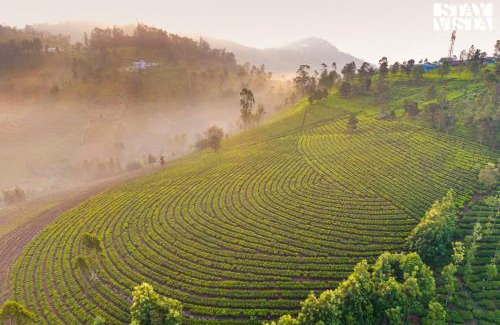 Ooty Villa | StayVista at Valley Whispers with BBQ & Bonfire