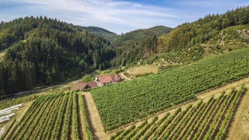 Odsbach Apartment | Steinhof