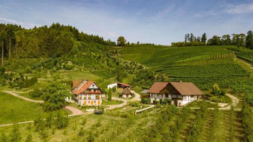 Odsbach Apartment | Steinhof