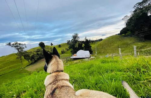 Murillo Other | Stellarium Glamping