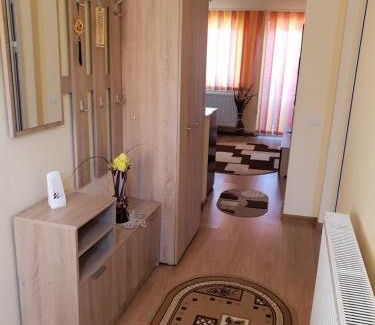 Calimanesti Villa | Steluța