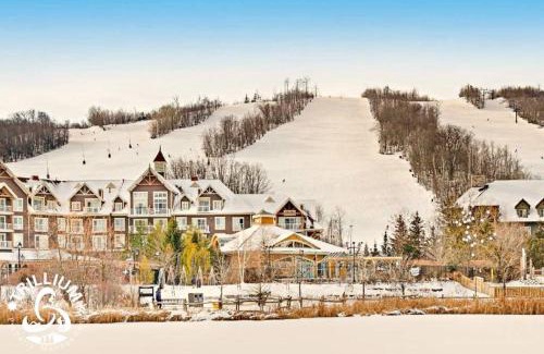 Craigleith House | Steps to the Hill 1 Bedroom CraveTV