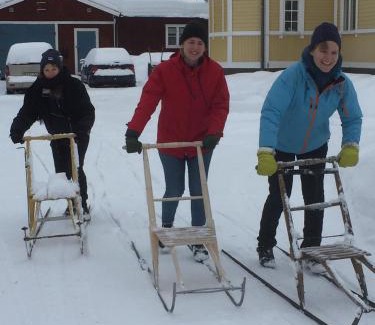 Alvdalen House | STF Tre Björnar B&B