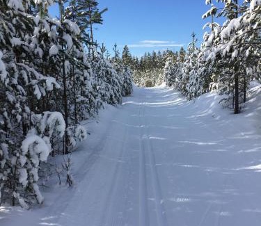 Alvdalen House | STF Tre Björnar B&B
