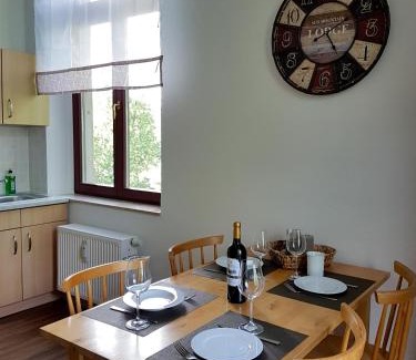 Suedvorstadt Apartment | Stilvolle 1-Raum-Wohnung zentral, ruhig gelegen