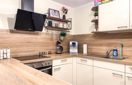 Loebtau Apartment | Stilvolles 60qm City Apartment Zentrumsnahe 2R