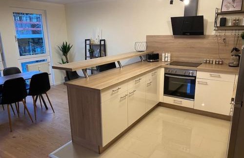 Loebtau Apartment | Stilvolles 60qm City Apartment Zentrumsnahe 2R