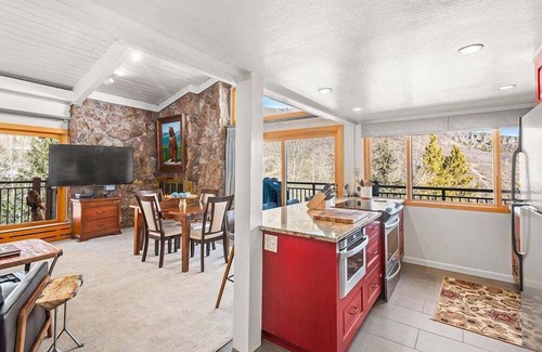 Snowmass Village Condo | Stonebridge Condos on the Slopes 1 Bdrm and King Bed Loft Unit 721, Pet Friendly, see desc.