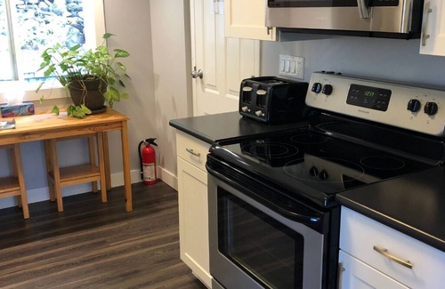 Clearwater Apartment | Stoneshire Basalt Suite for 4, walking distance to waterfalls & Dutch Lake