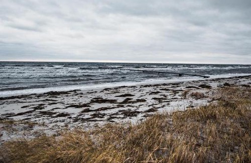 Greve Hotel | Strandmotellet