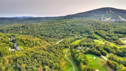 Stratton Mountain Apartment | Stratton Mountain Condo with a Hot Tub! Sleeps 12!