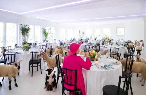 Ratingen Hotel | Stuckhotel Fettehenne